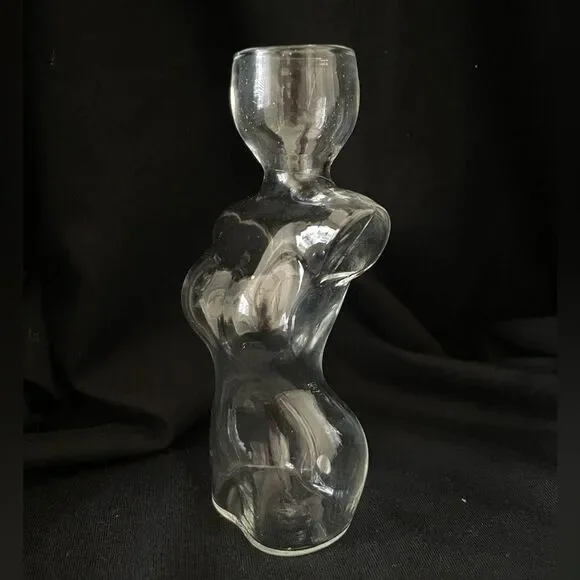 Elegant Glass Vase with Green Plant - Picture 4 of 7